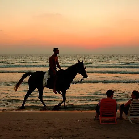 فندق Mare